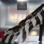 Chocolat-(9)